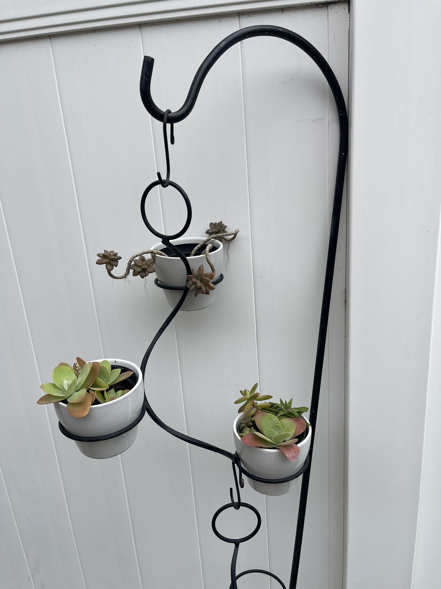 3 Ceramic Pots With Succulents Plants And Hangers