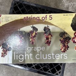 String Light From Costco. Brand New