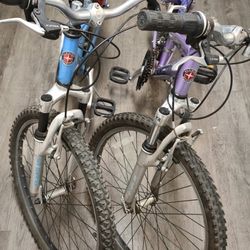 2 Schwinn Mountain Bike