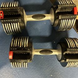 2 adjustable 50 lbs weights  (100 lbs total)