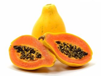 Hawaiian papaya starter plant