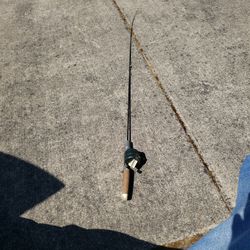 Zebco 202 Fishing Rod And Reel