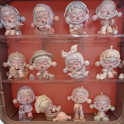 Pop Mart Skull Pandanda Warmth Series Case Plus Set Of 12