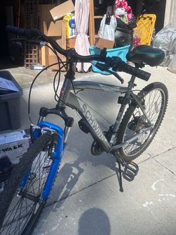 Schwinn High Timber