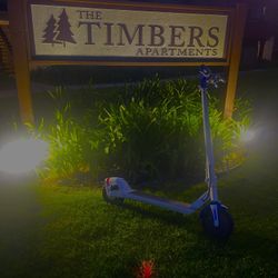 You Can Buy Or Trade