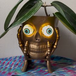 Gold  skull plant Planter Pot  Halloween witch decor, decoration, jack-o’-lantern light up eyes
