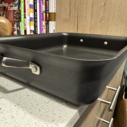 Cephalon Roasting Pan