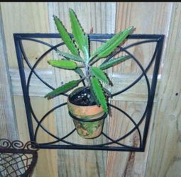 Metal Plant Stand For Wall