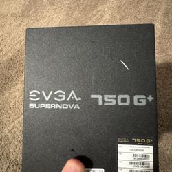 Eggs 750 Super Nova 80gld