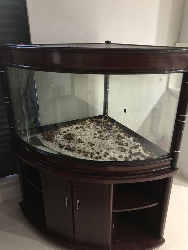 95 Gallon Corner Fish Tank. for Sale in Fort Lauderdale, FL - OfferUp
