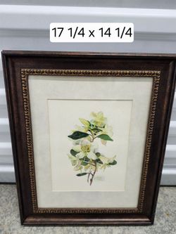 Framed Floral Watercolor Print by Janet Nason
