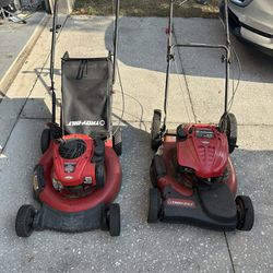 Two For One Gas Lawnmowers