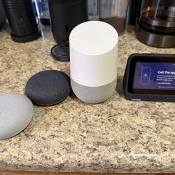 Google Home and Nest Speaker Bundle