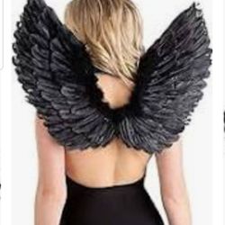 $20 Beautiful Black Wings