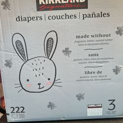Kirkland Size 3 Diaper New