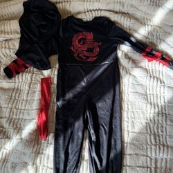 Dragon Halloween Costume 
