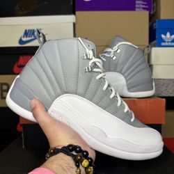 Jordan 12 Stealth 