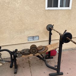 Bench Press & Weights 