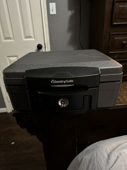 Sentry Safe