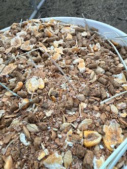 Grains mixture for live stock