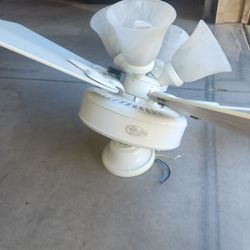 Fan