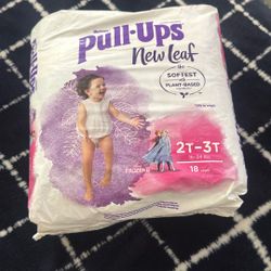 Pull Ups Size 2/3t New 