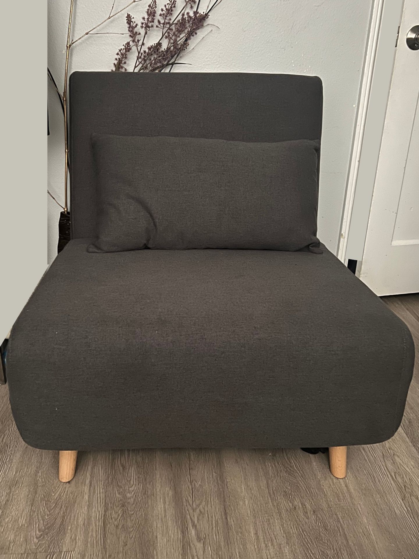Fold Out Couch