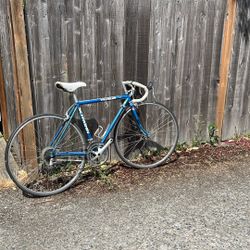 Schwinn Traveler Road Bike 51cm