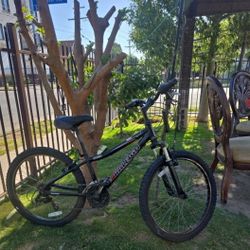 Montain Raleigh Bicicleta 