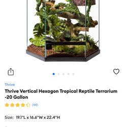 Repti Enclosure 