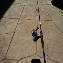 Favorite Fishing Pole