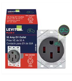 Ev plug