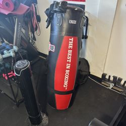 Like New. Used Once Complete Boxing / MMA Heavy Bag Setup – Ringside 150lb + Anchors 300$ OBO Can Deliver Within Reason 