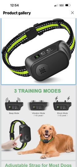 Barking/shock collar