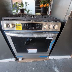 Gas Stove 