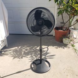 Fan