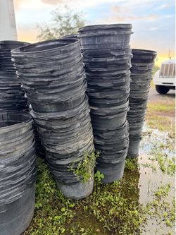 (100) 15 Gallon Nursery Pots