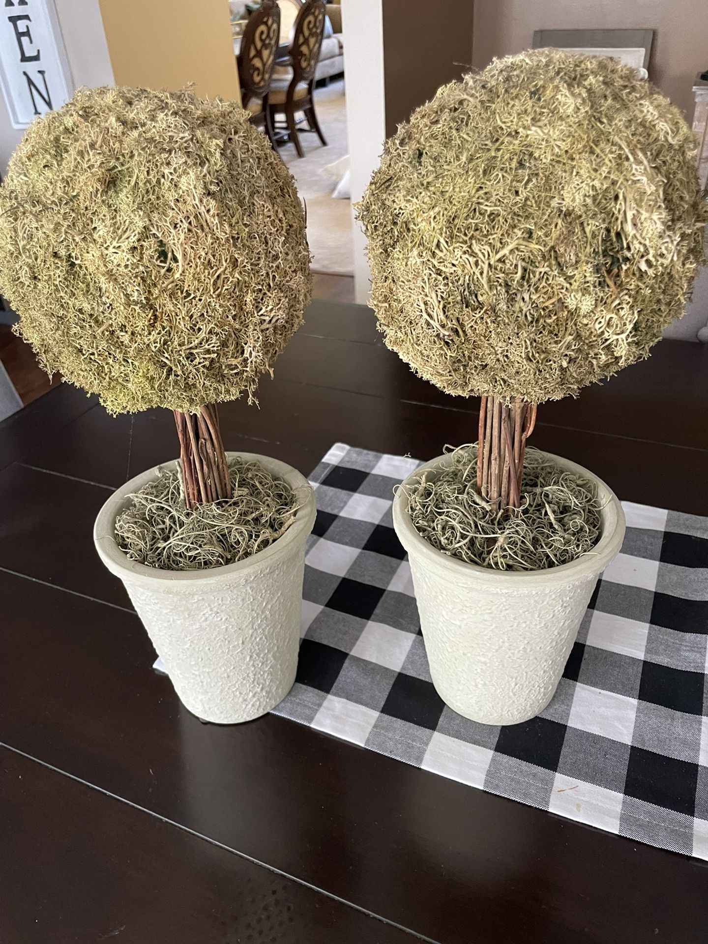 Topiaries W/cream Containers (2)