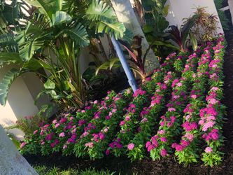 Se hacen jardines