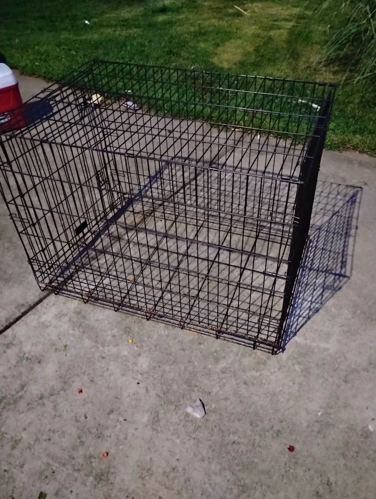 Dog Kennel