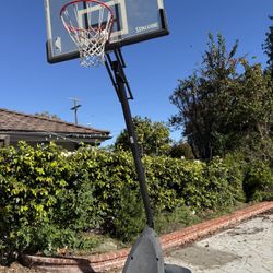 Spalding Tallest Basketball Hoop 