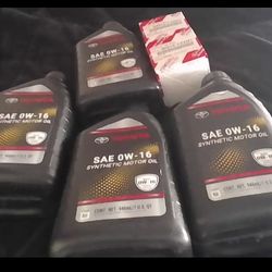 Motor Oil & Filters