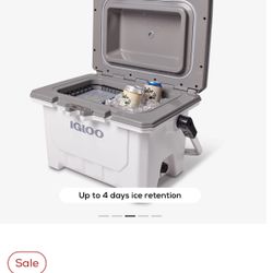 Igloo IMX 24 Qt cooler