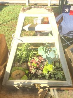 Succulent Terrarium Arrangement