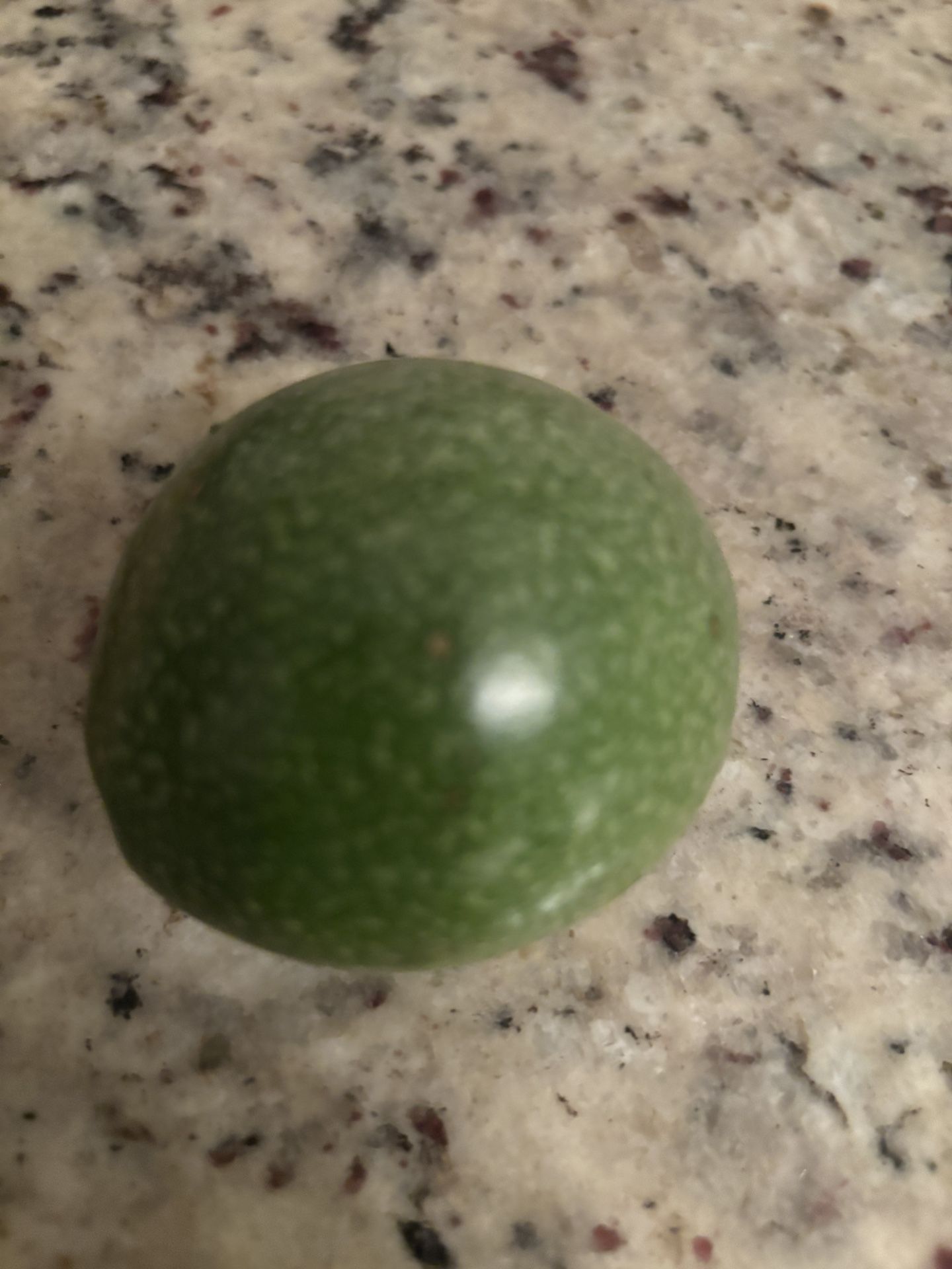 Green Passion Fruit 