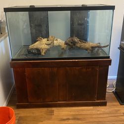 120 Gallon Tank (Tall) For Sale