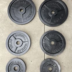 Olympic Weight Plates.     180 Dollars 