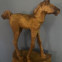 Wooden Hand Carved Foal 