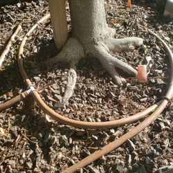 Drip Irrigation