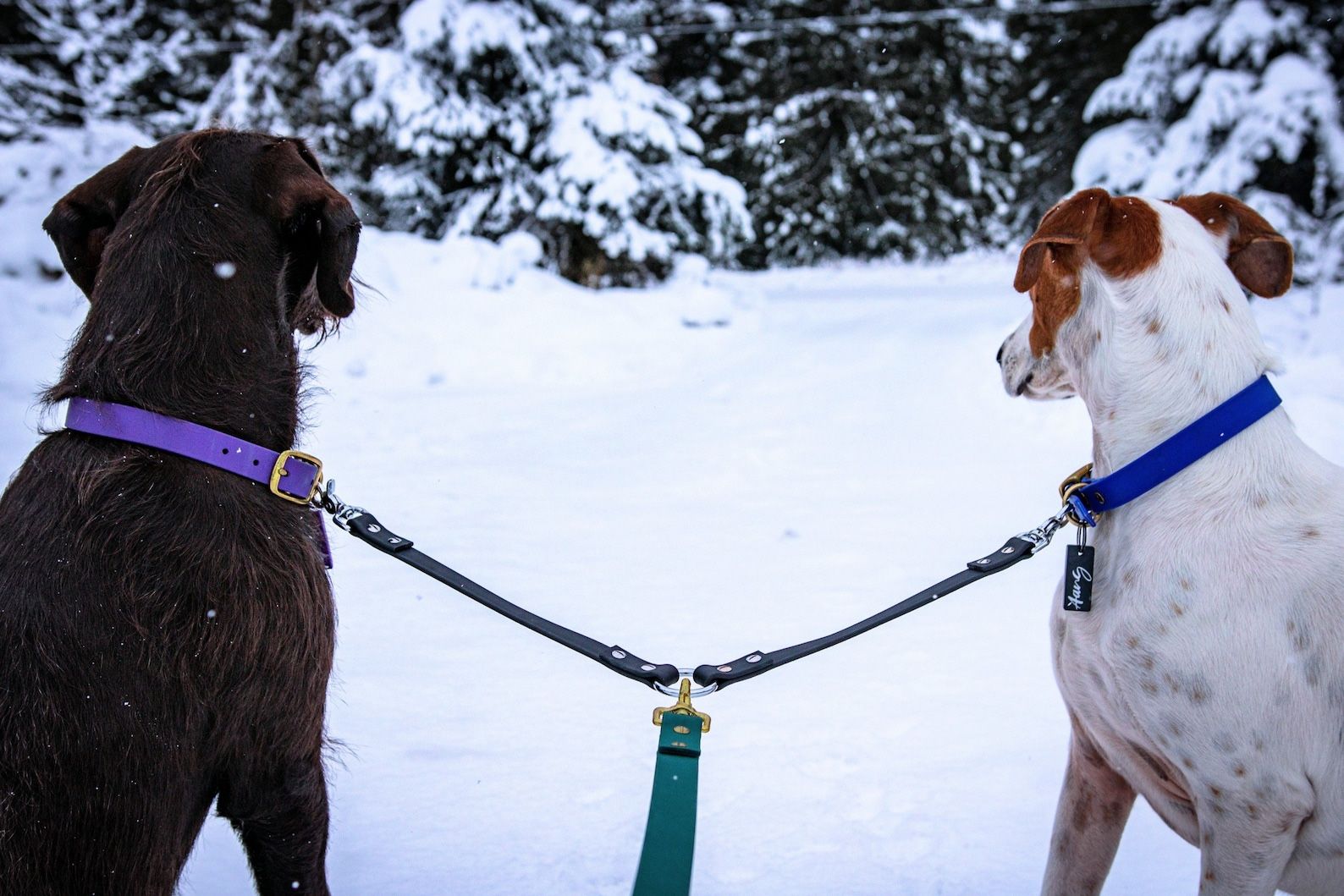 Leash Splitter For 2 Dogs (lilac)